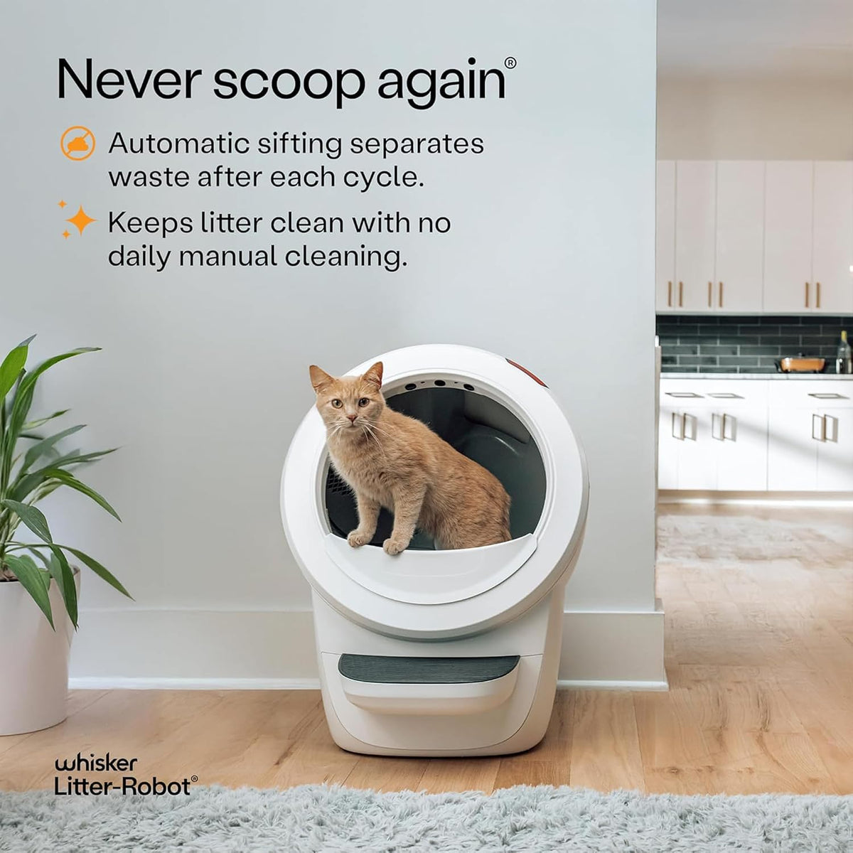 whisker litter-robot 4 self-cleaning cat litter box &, close-up detail