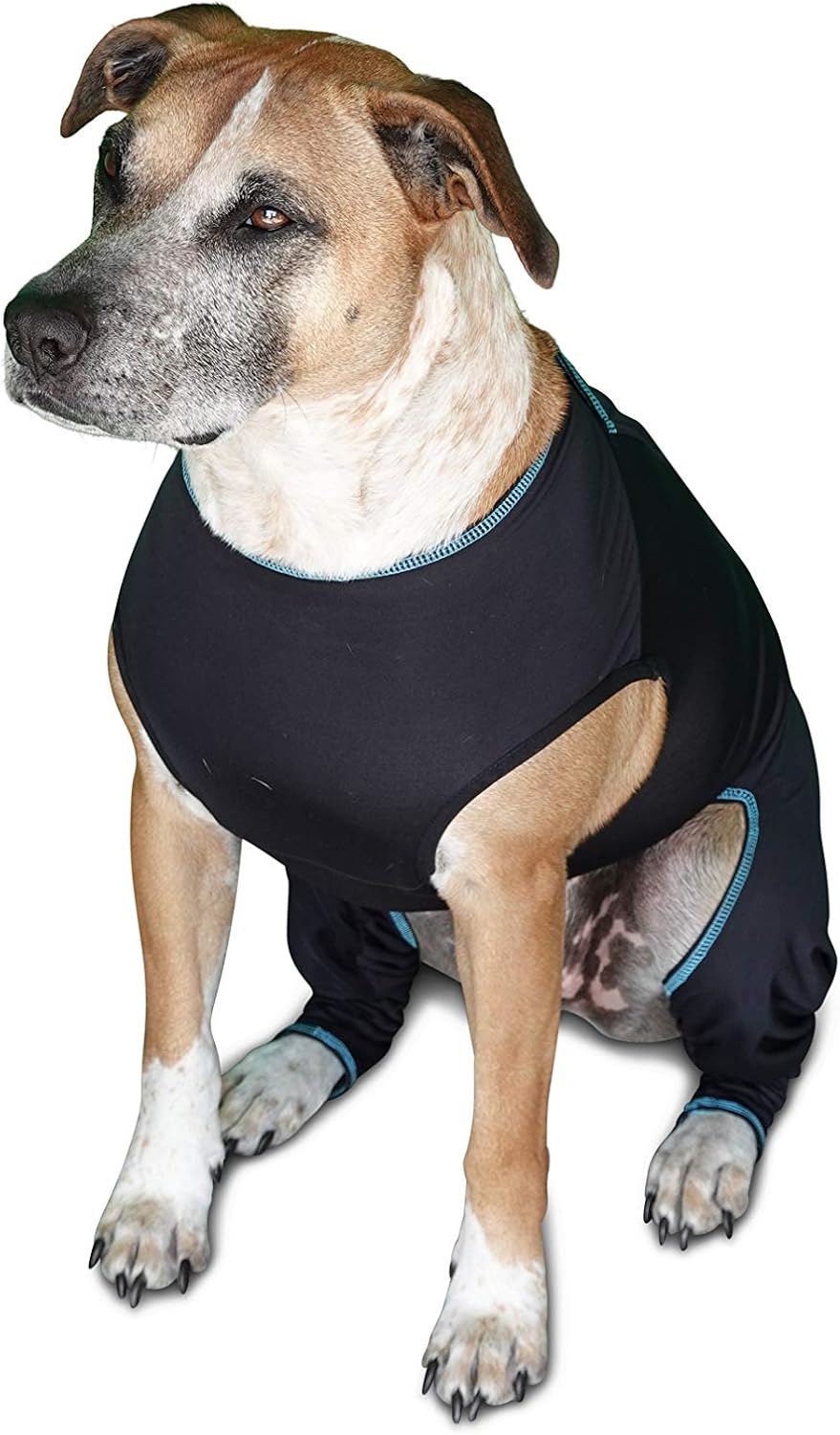 benefab therapeutic comfort suit for dogs — lightweight shown in use