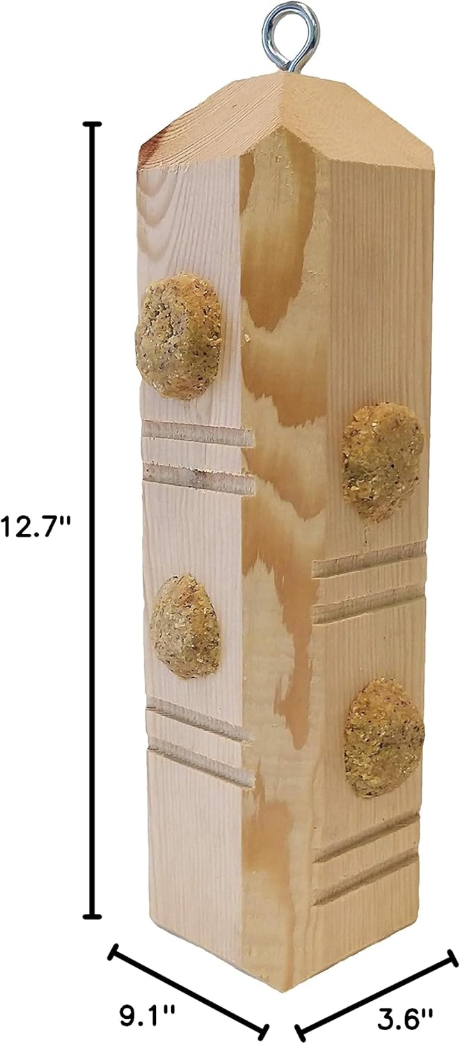wildlife sciences suet plus suet plug variety 5-pack, side view