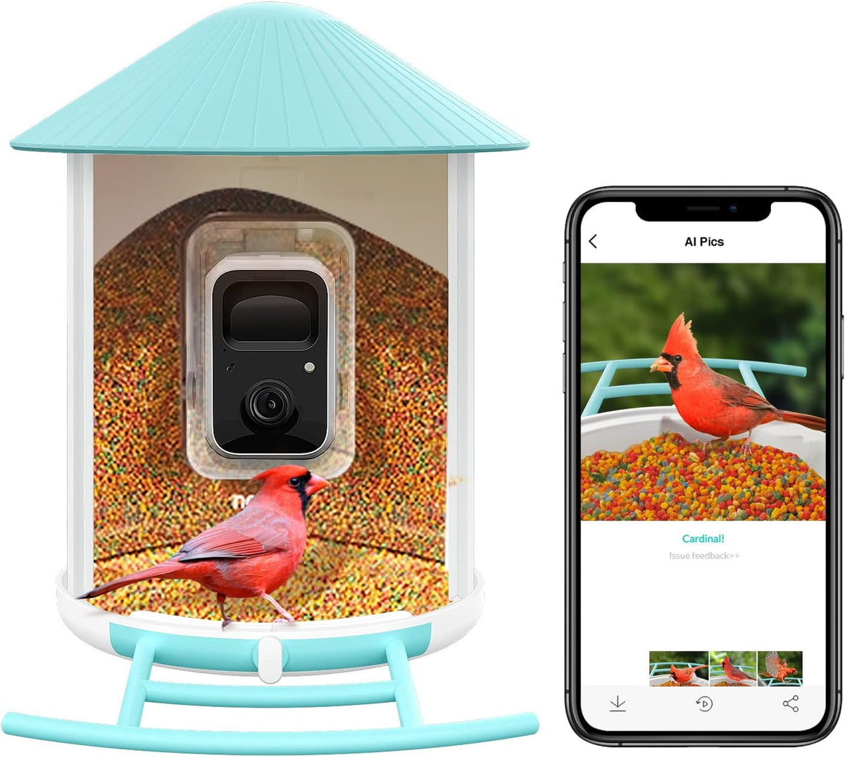 netvue birdfy - smart bird feeder camera, bird, main product view