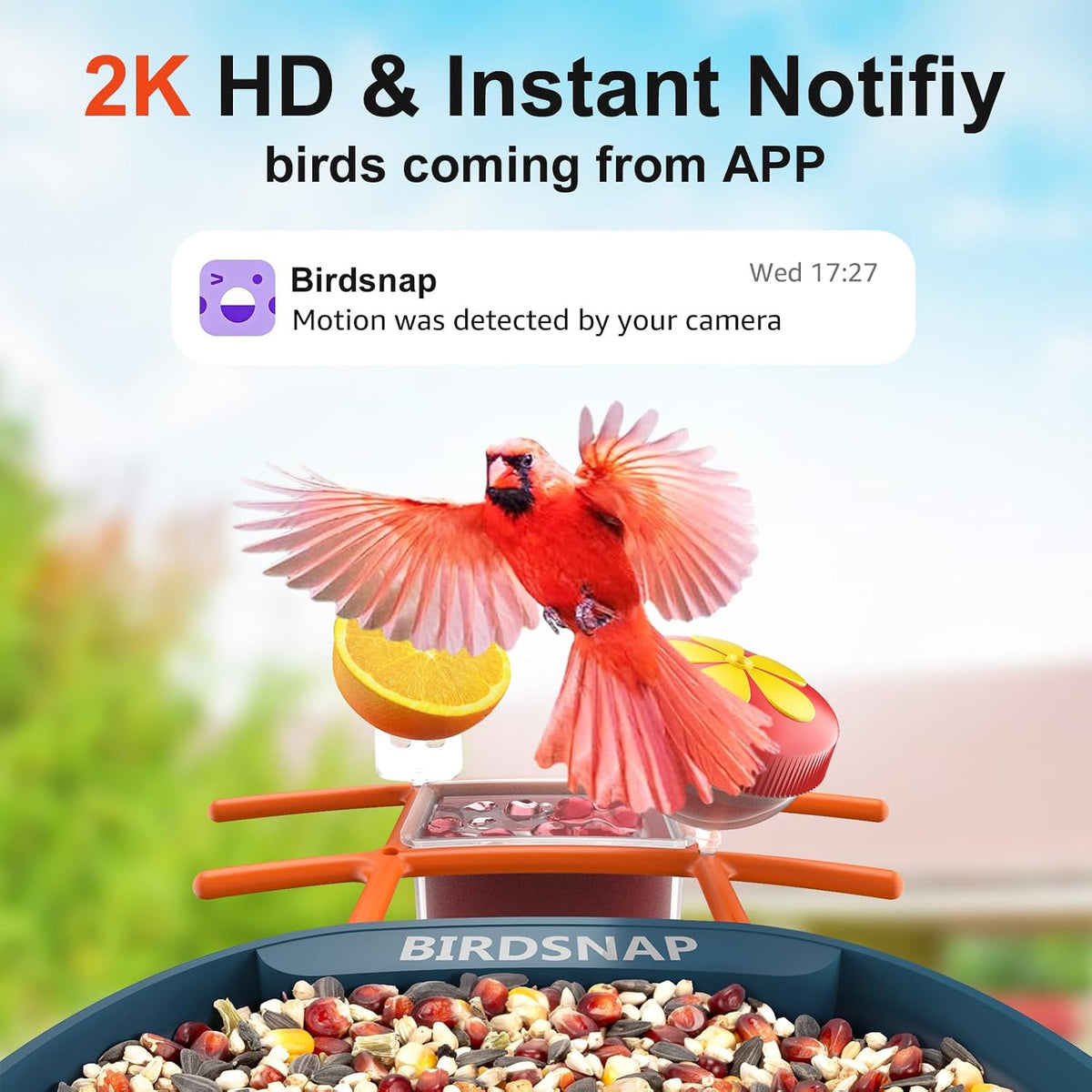 birdsnap® smart bird feeder with camera, solar powered, close-up detail