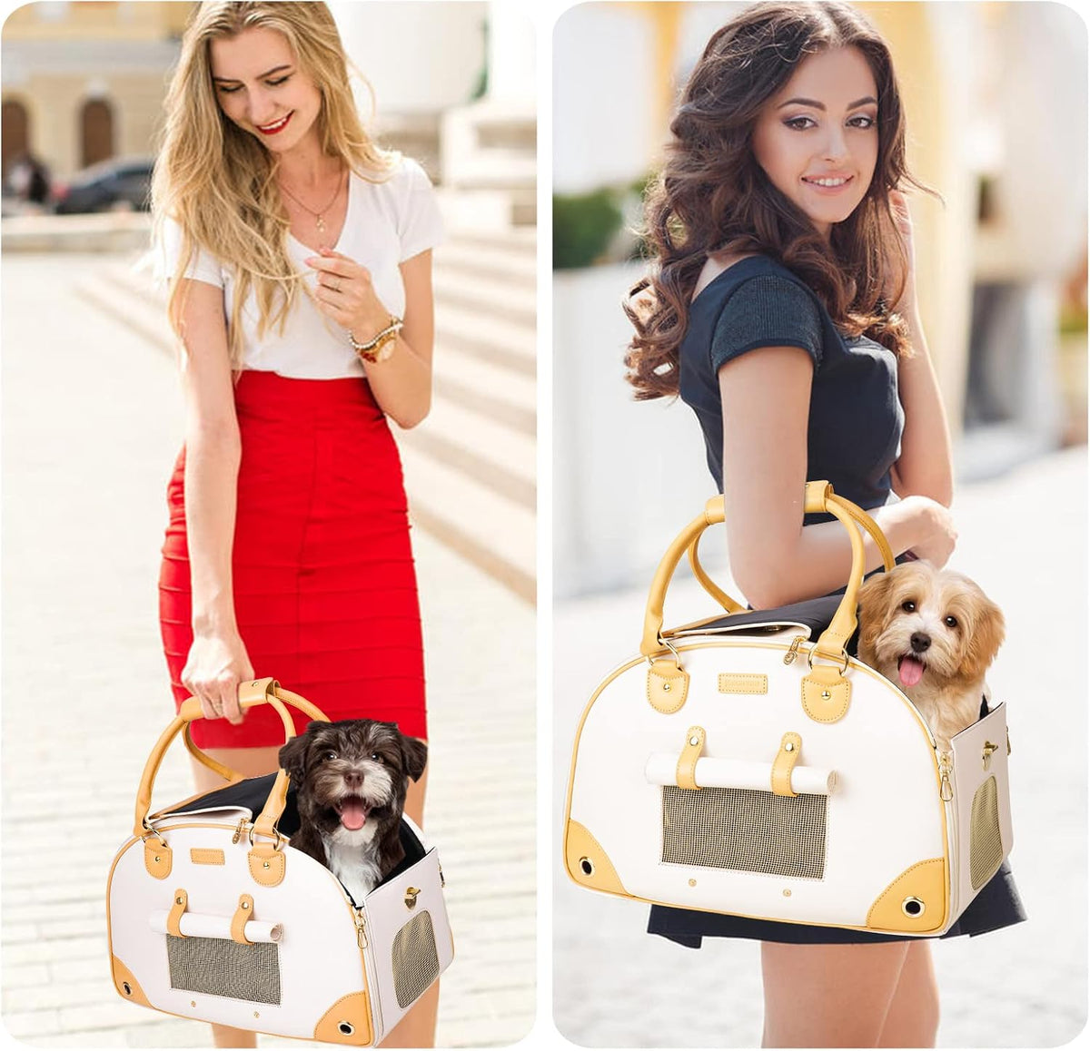 dog carrier, cat carrier, pet carrier, foldable premium showing dimensions