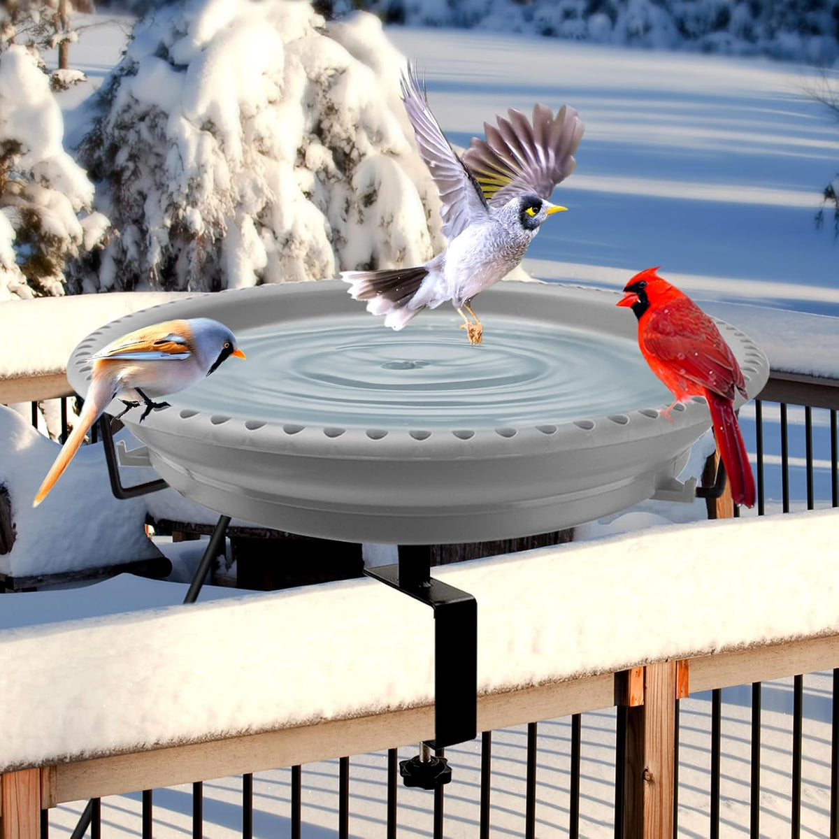 100w heated bird baths for outdoors, heated birdbath, main product view