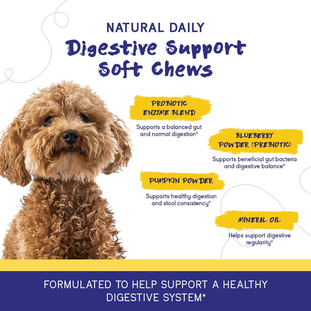 pupgrade digestive support for dogs, duck flavor showing dimensions