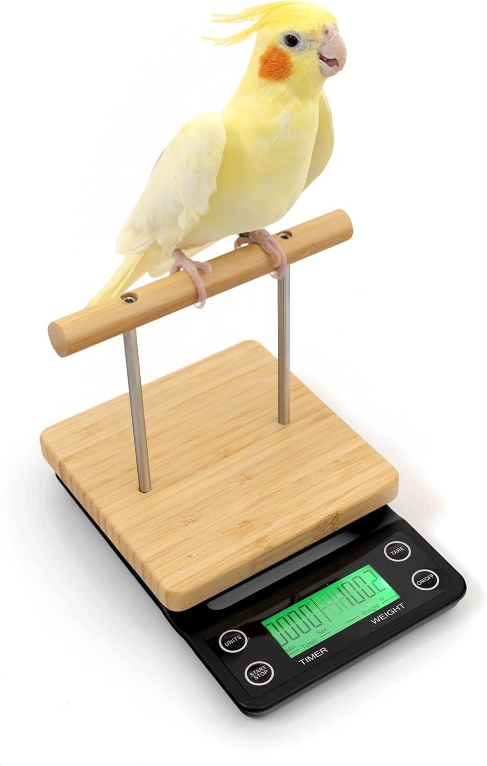 neouza bird scale with perch for small &, main product view
