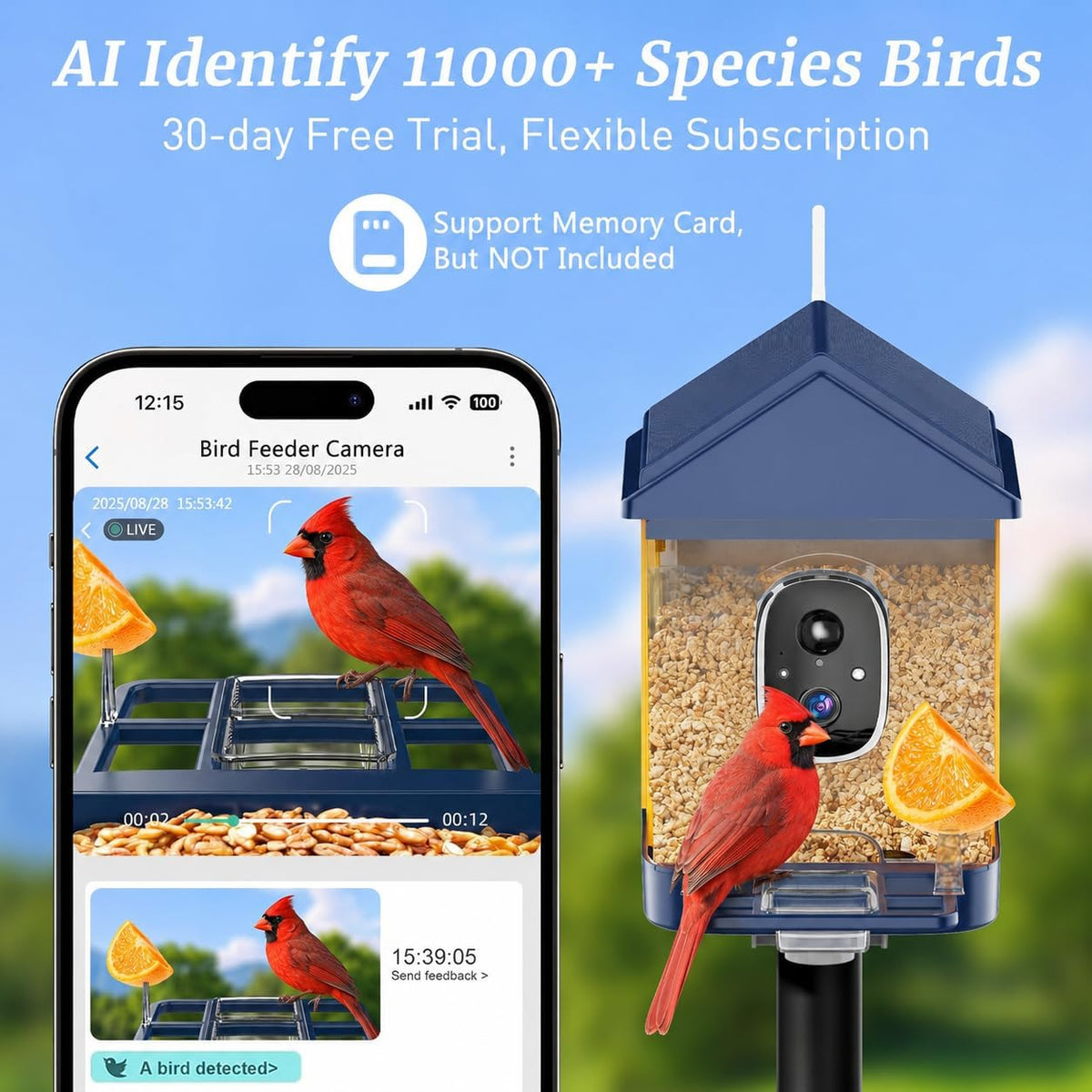 bird feeder with camera, solar powered, 2k hd shown in use