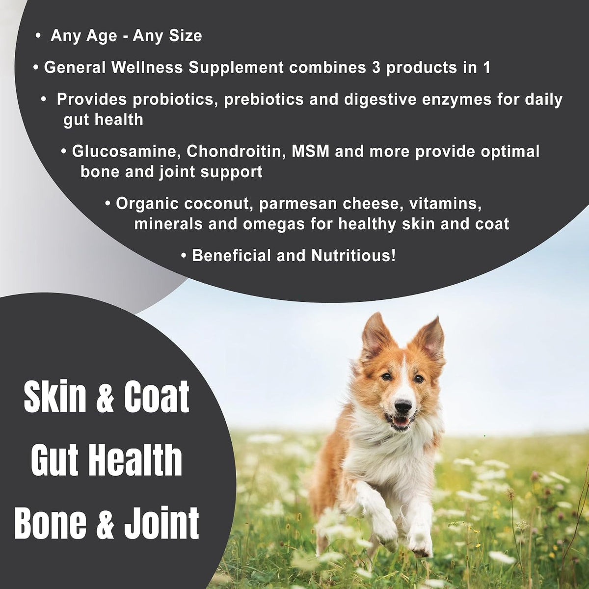 dogzymes complete - probiotics, prebiotics, glucosamine, chondroitin, msm, close-up detail