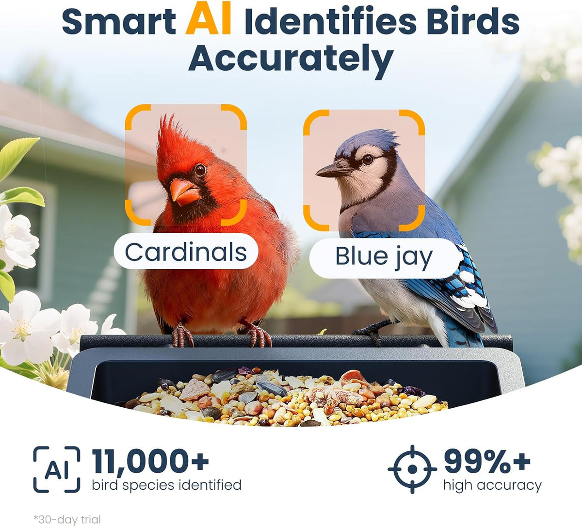 smart metal bird feeder with camera, deep blue, close-up detail