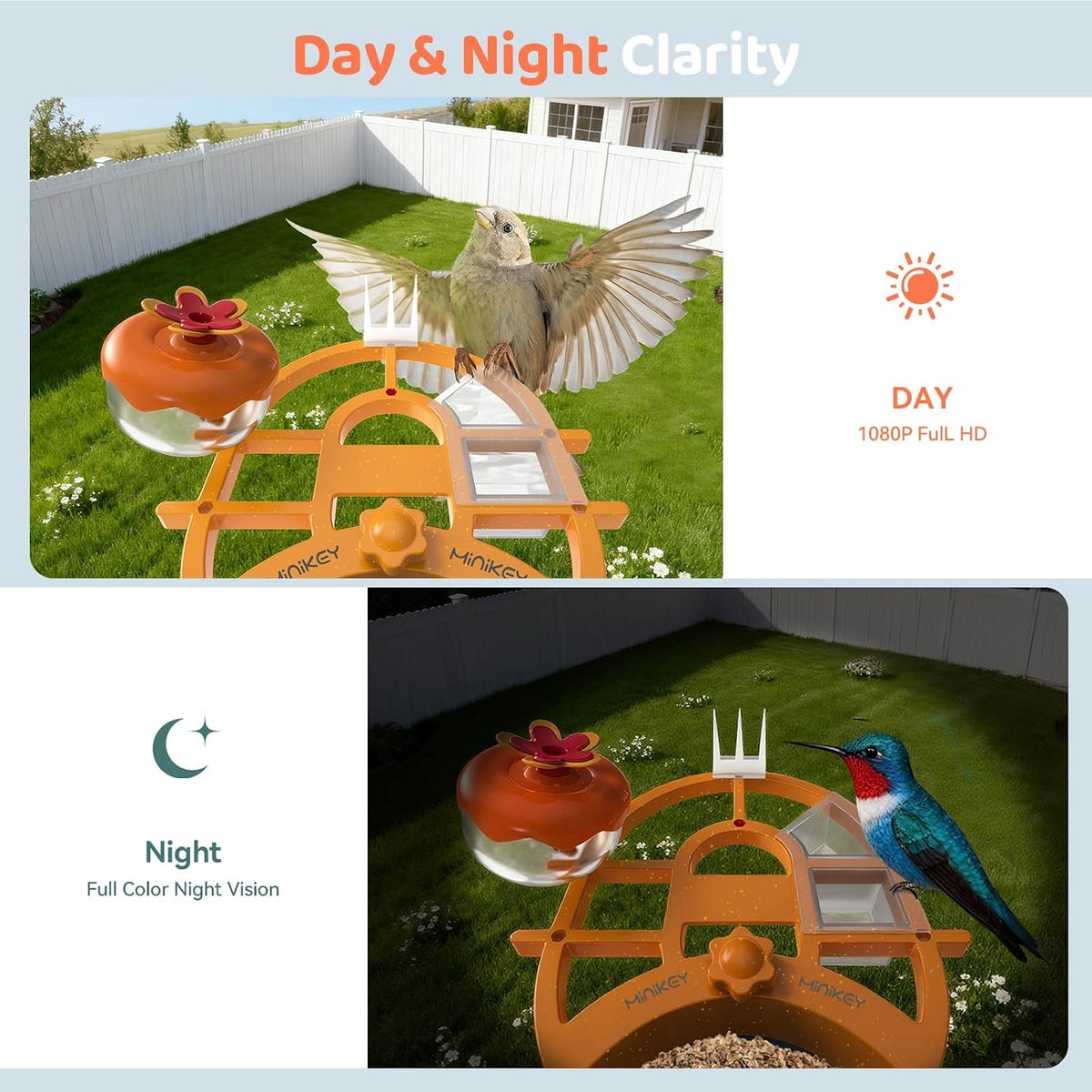 smart bird feeder with camera outdoor birdhouse:ai identifies, close-up detail