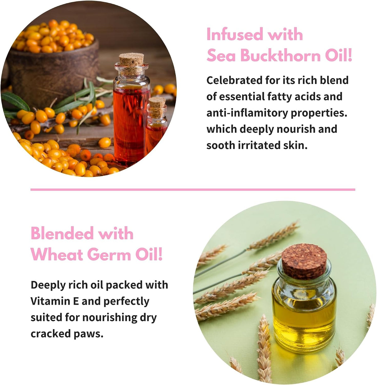 toe bean oil paw & nail care for, close-up detail