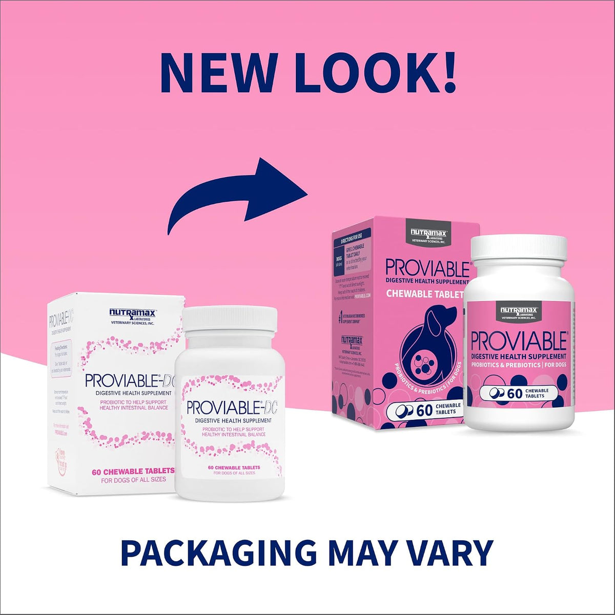 nutramax proviable probiotics for dogs, daily digestive health shown in use