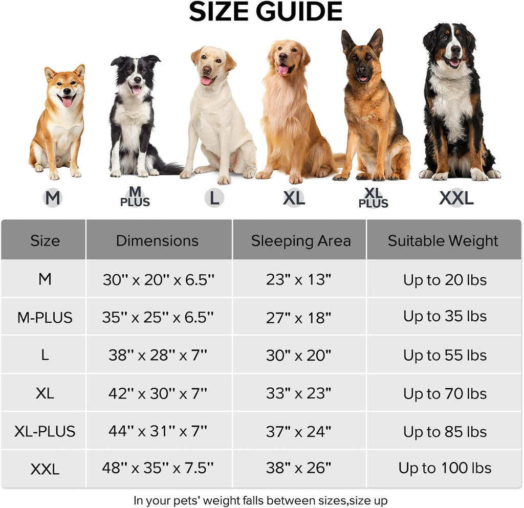 gasur orthopedic dog bed for large sized dog, front angle view