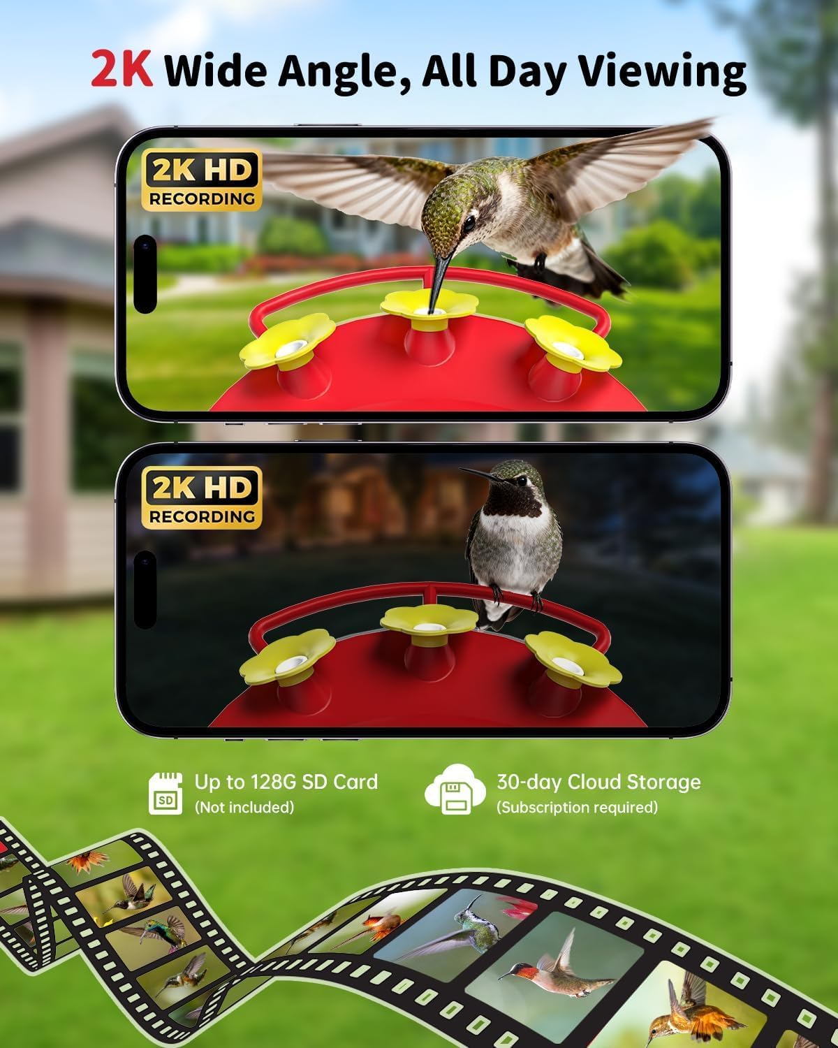 wisebird solar powered hummingbird feeder with camera shown in use