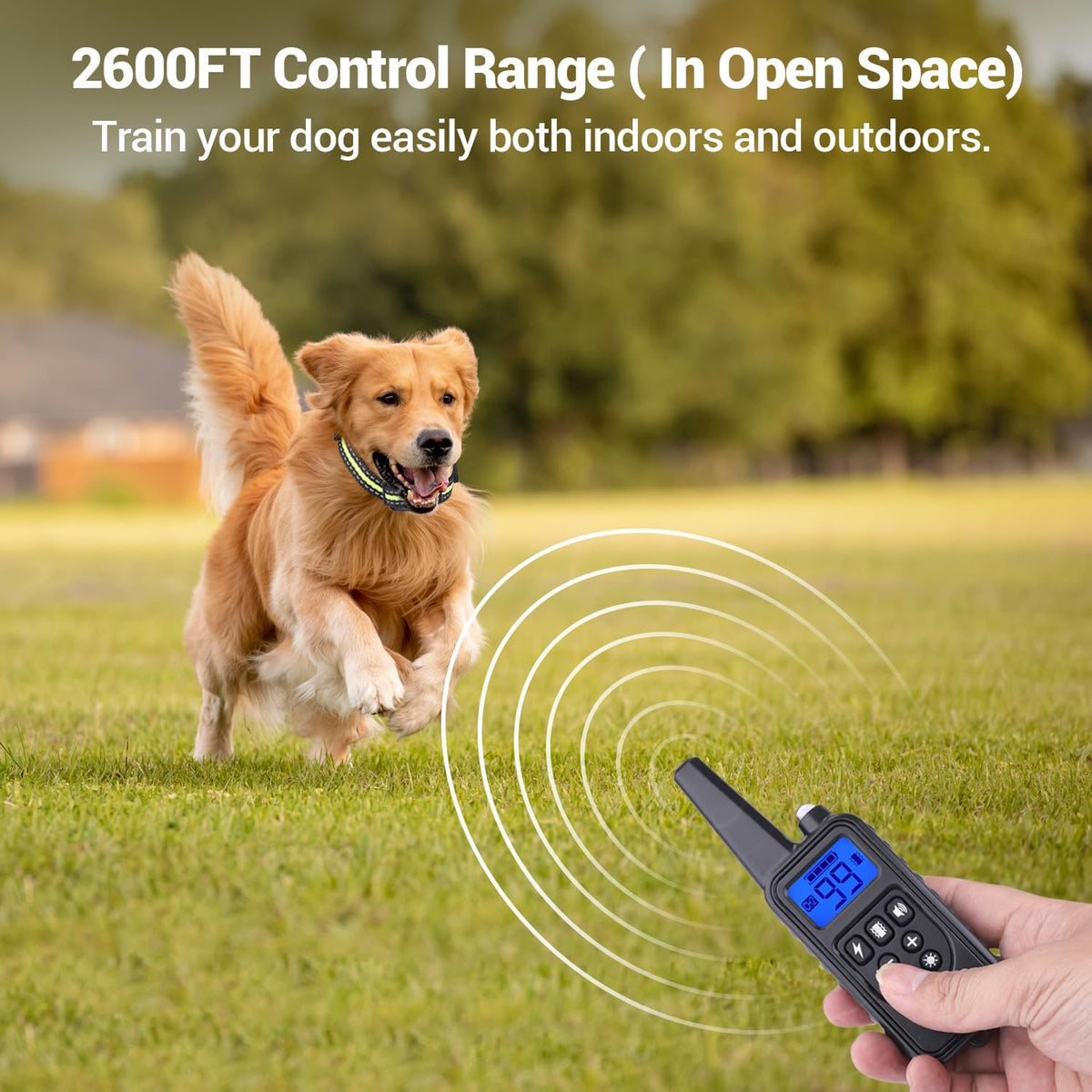 dog training collars, dog shock collar with remote shown in use