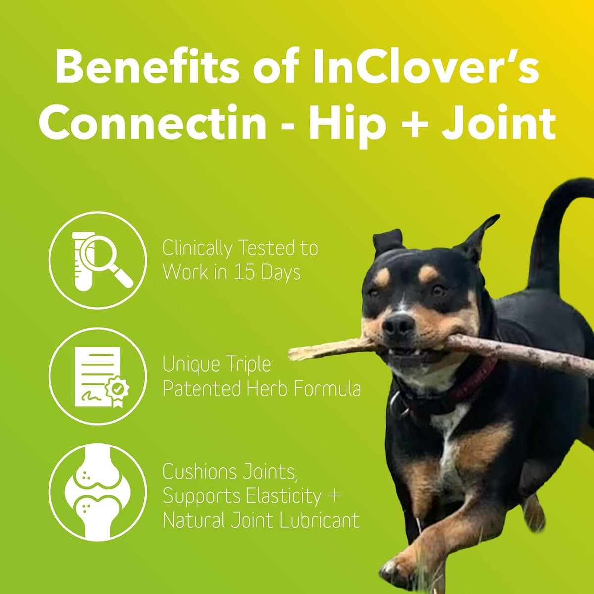 in clover connectin hip & joint supplement for, side view