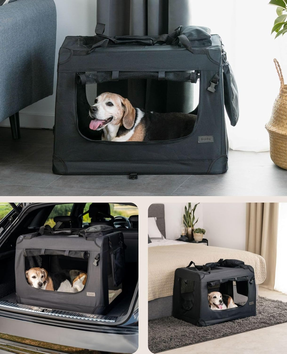lionto dog transport box foldable for travel & shown in use