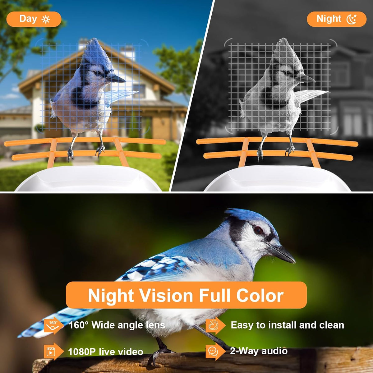 bird feeder with camera,1080p hd,160° wide angle,ai recognition, close-up detail