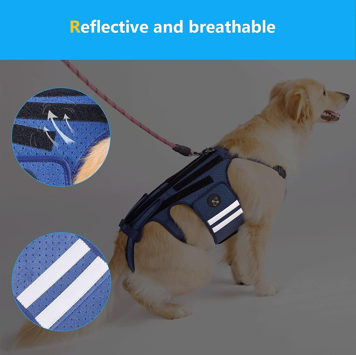 coodeo dog back brace for dogs arthritis, pet showing dimensions