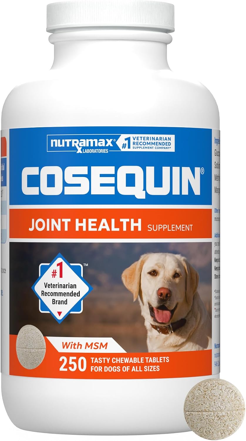nutramax cosequin joint supplement for dogs, msm+ha, chew, main product view