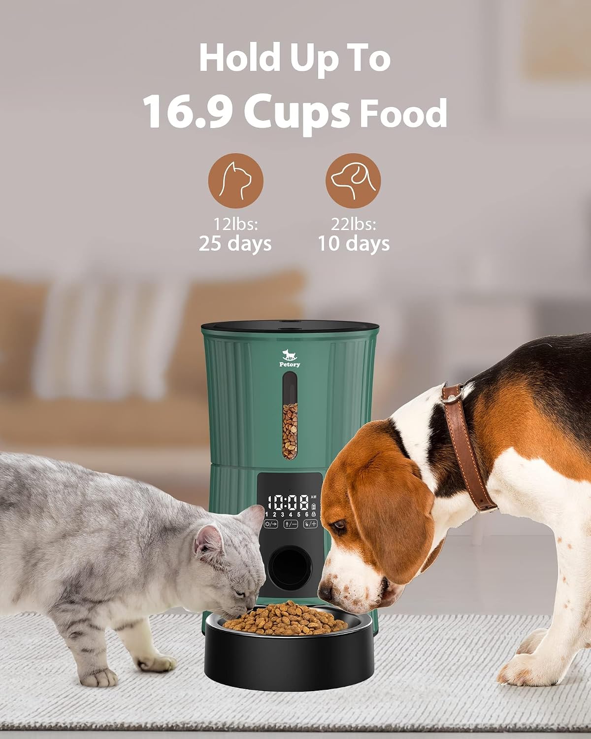 petory timed automatic cat feeder - 4l dry showing dimensions