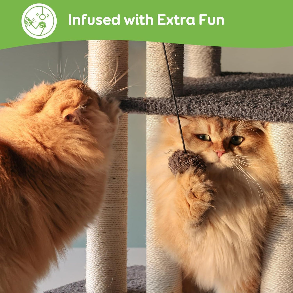 pawque dog stairs & cat scratching post pet, package contents