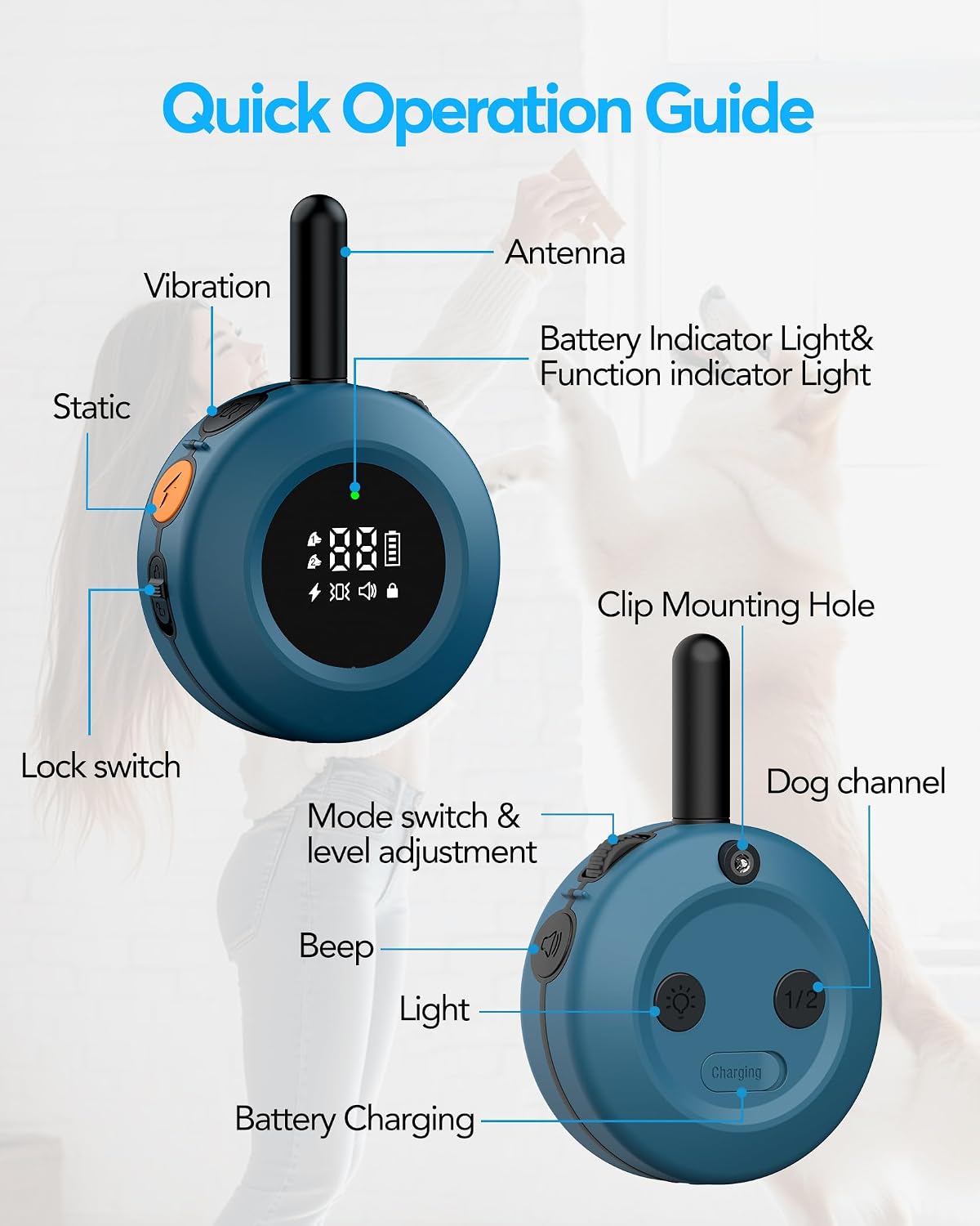 dog shock collar - 3/4 mile dog training shown in use