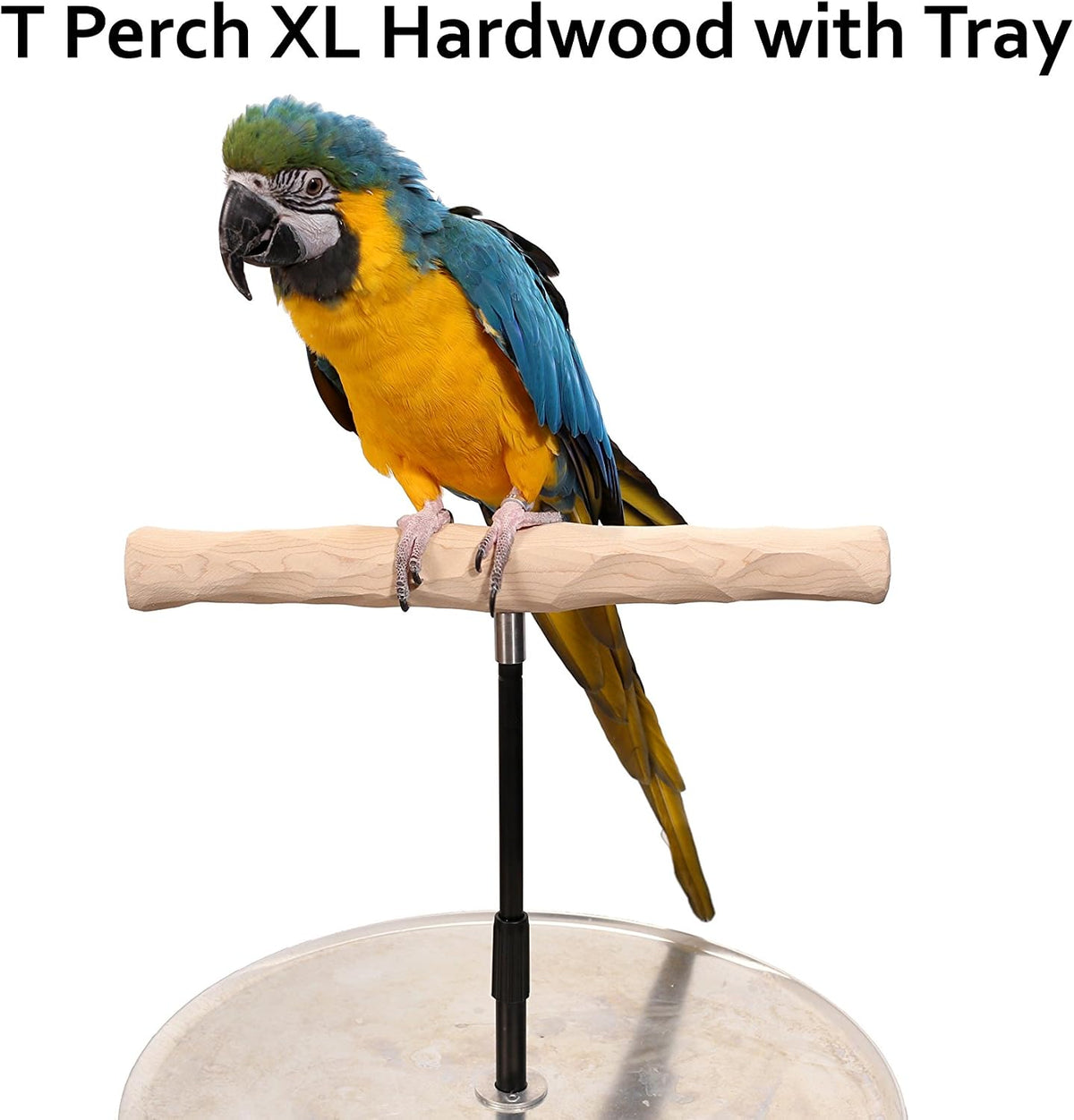 parrot training perch stand with potty tray (t shown in use