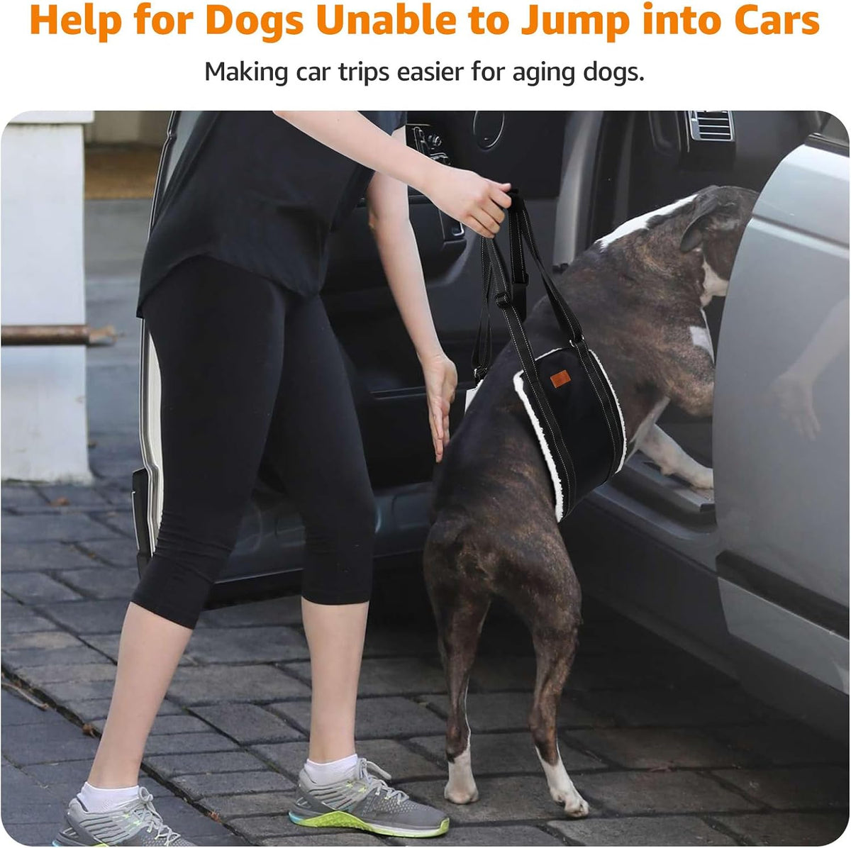 loobani portable dog sling for back legs, hip, close-up detail