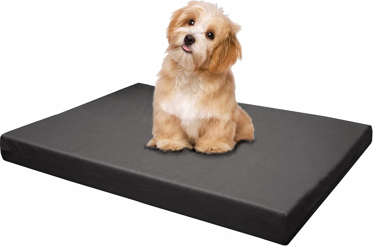 dogbed4less memory foam platform dog bed, crate mattress, main product view