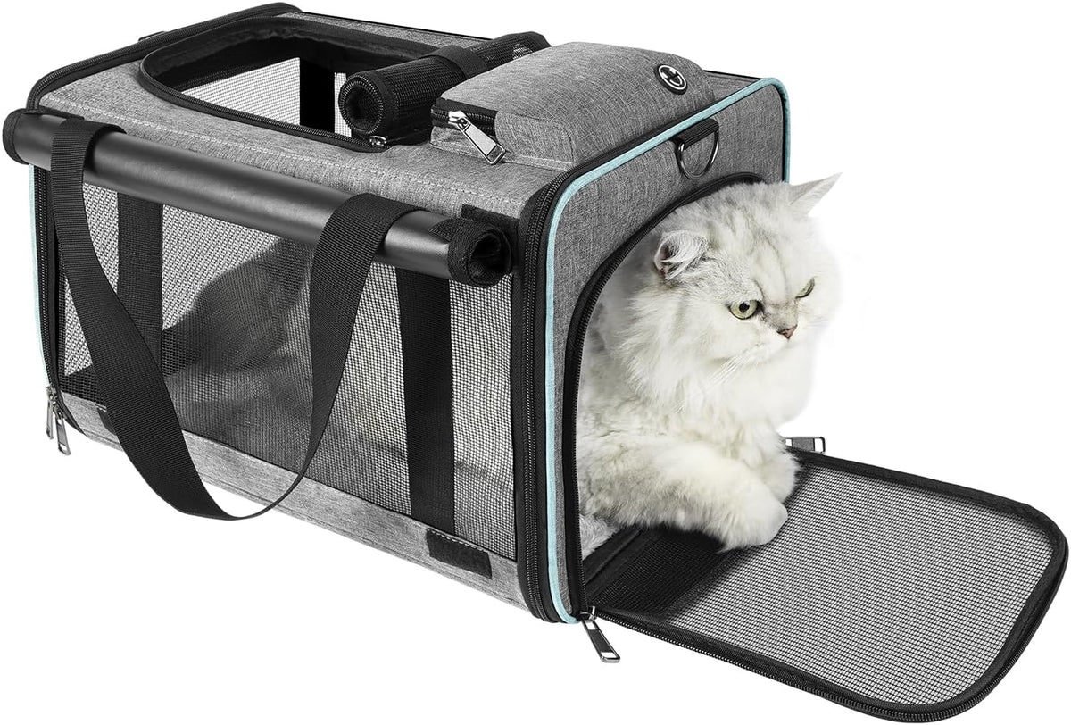 gapzer cat carrier american, united, delta airline approved shown in use