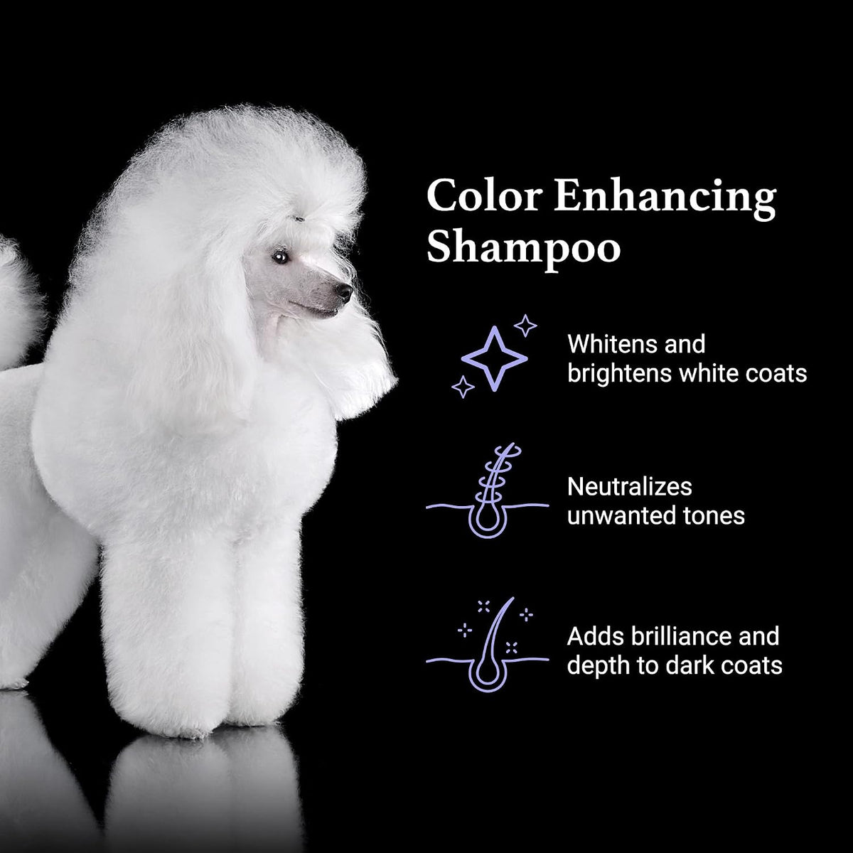 igroom true color dog shampoo, luxury pet beauty, close-up detail
