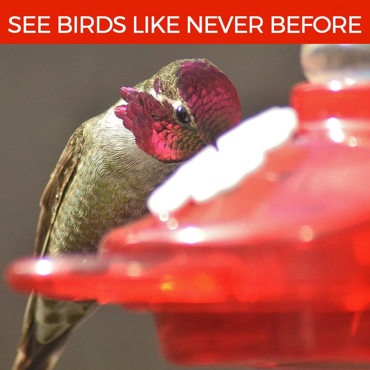 window hummingbird feeders for outdoors including 3 colors, close-up detail