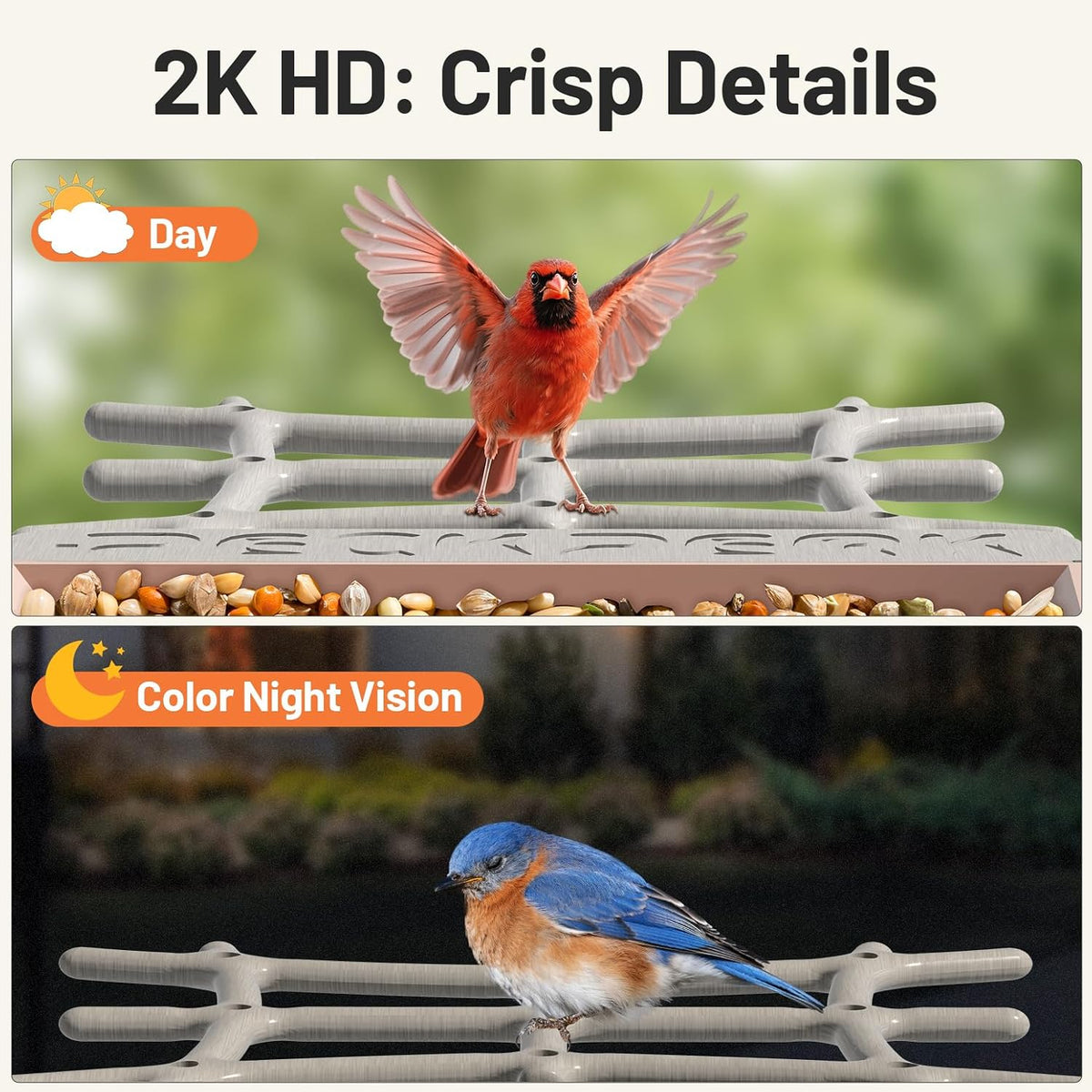 smart bird feeder with camera solar powered outdoor, side view