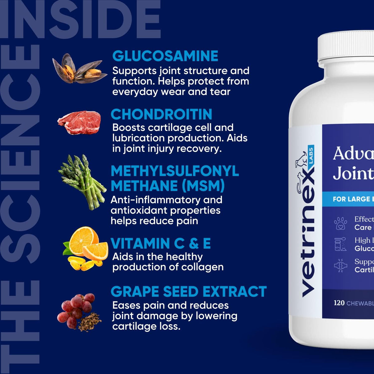 joint support supplement for large dogs - hip, side view