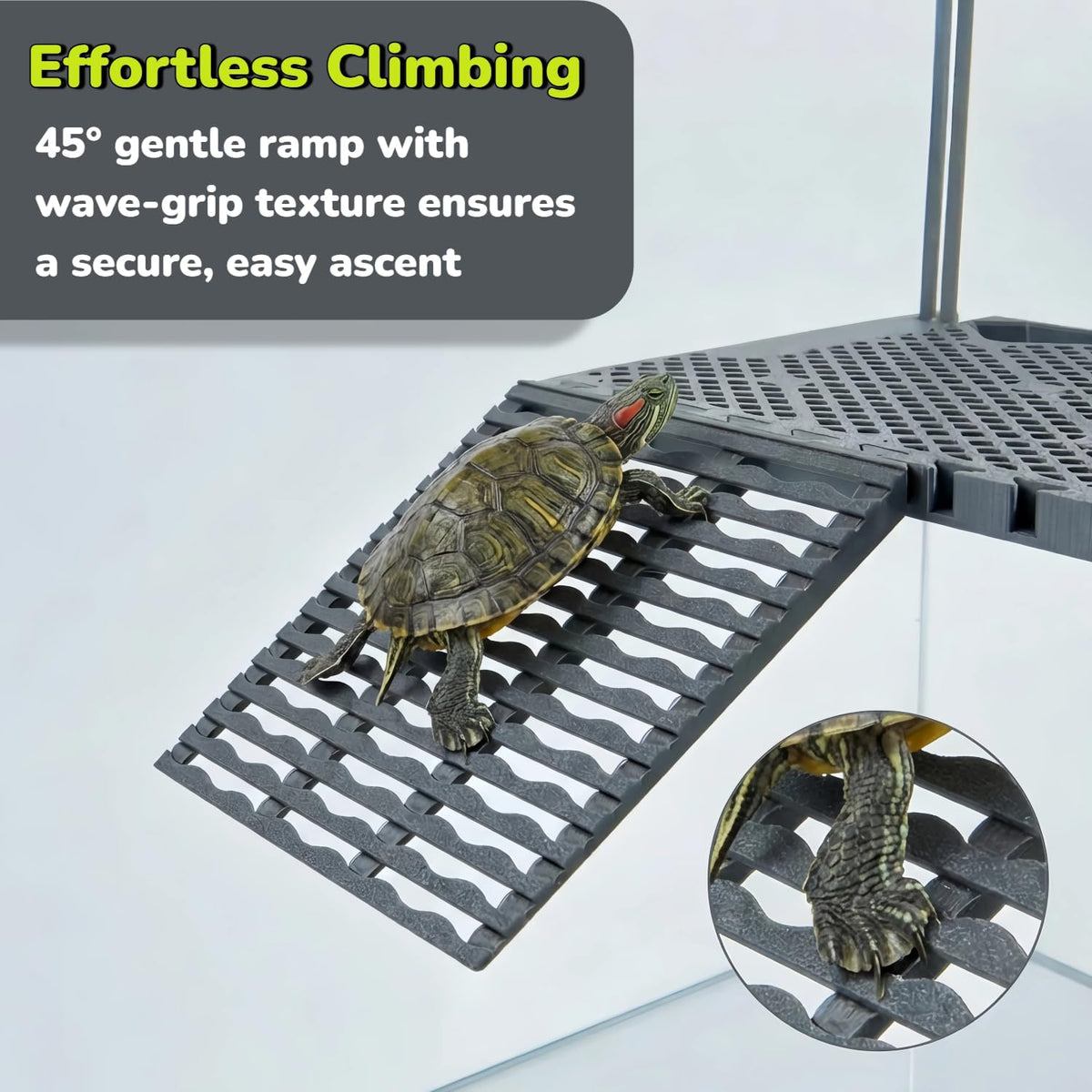 solidform hanging turtle basking platform with built-in food on a desk or shelf