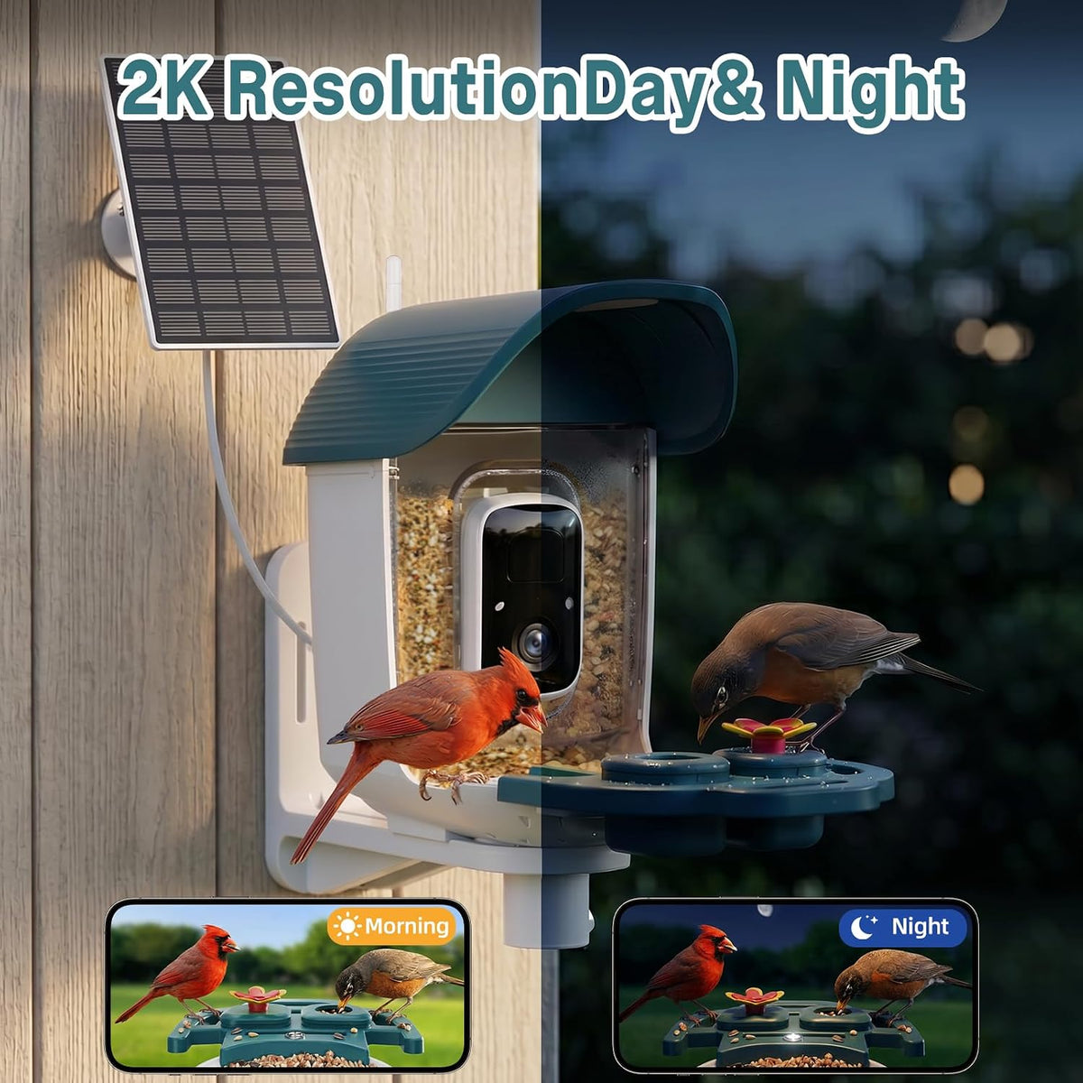bird feeder with camera solar powered, 2k hd showing dimensions