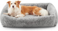 joejoy dog bed medium size dog, removable washable, main product view