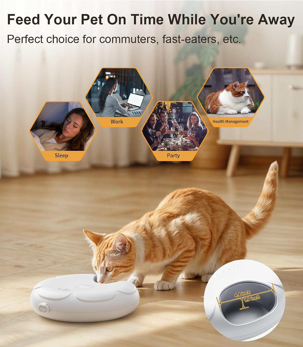 casfuy automatic cat feeder cordless - automatic cat shown in use