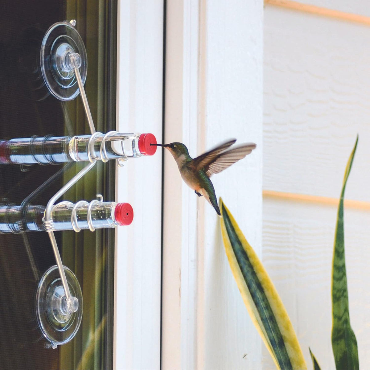 geometric window hummingbird feeder | copper and aluminum shown in use