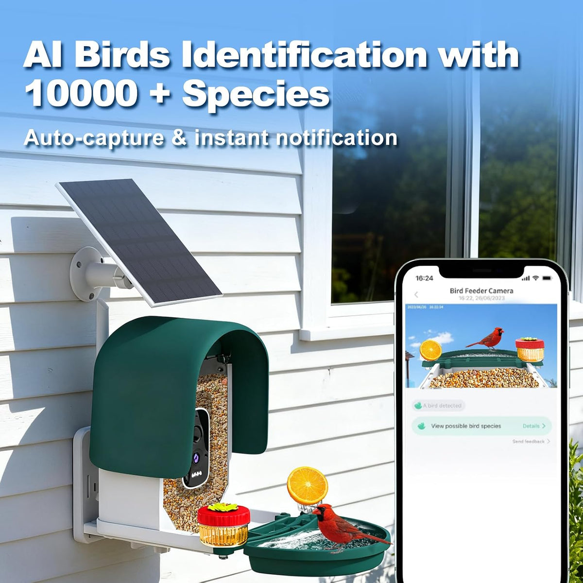 4k bird feeder camera, ai identify, solar, 2-way shown in use