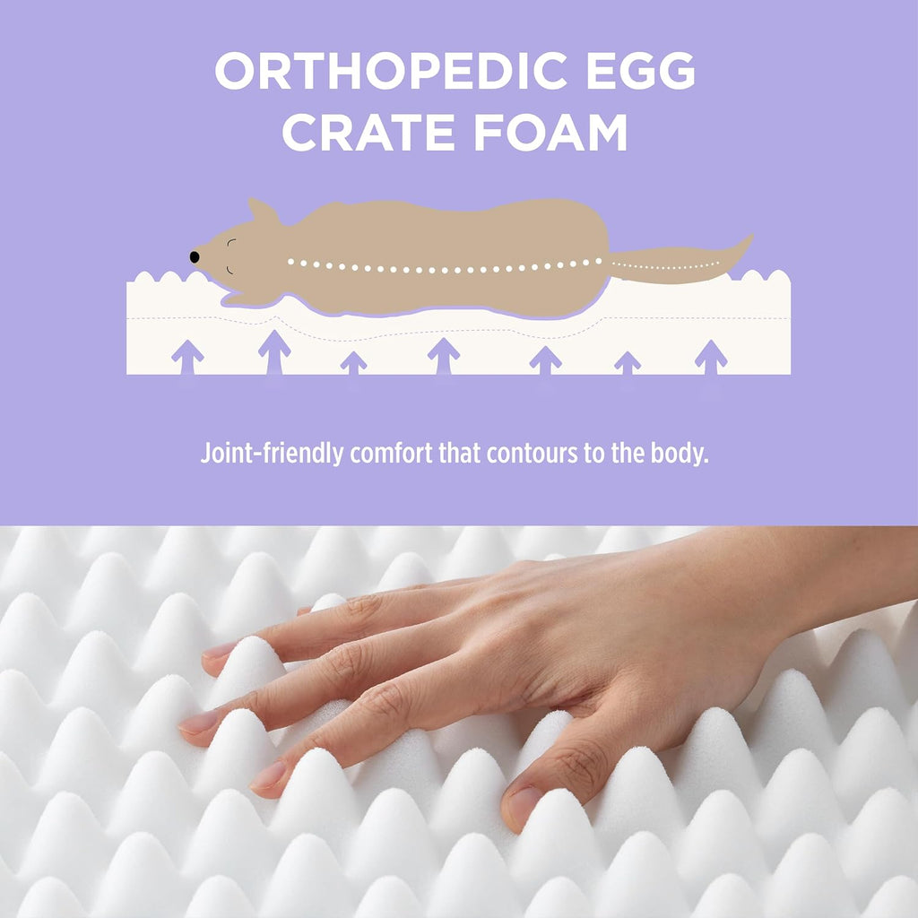 le sure cute orthopedic dog bed for extra, close-up detail