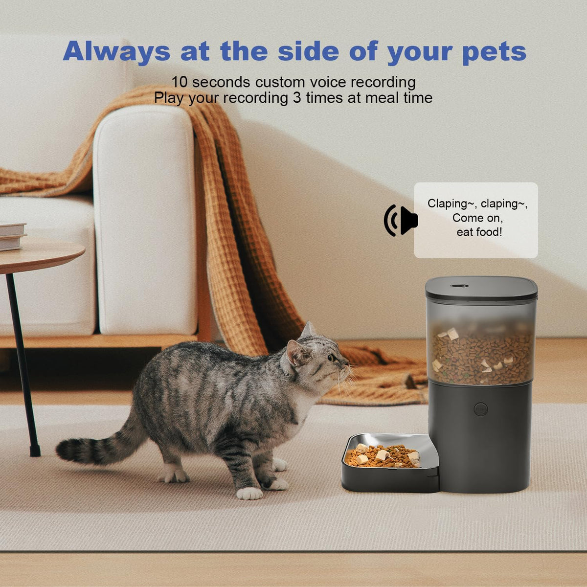 andoll home automatic cat feeder,4l timed cat＆dog dry, close-up detail