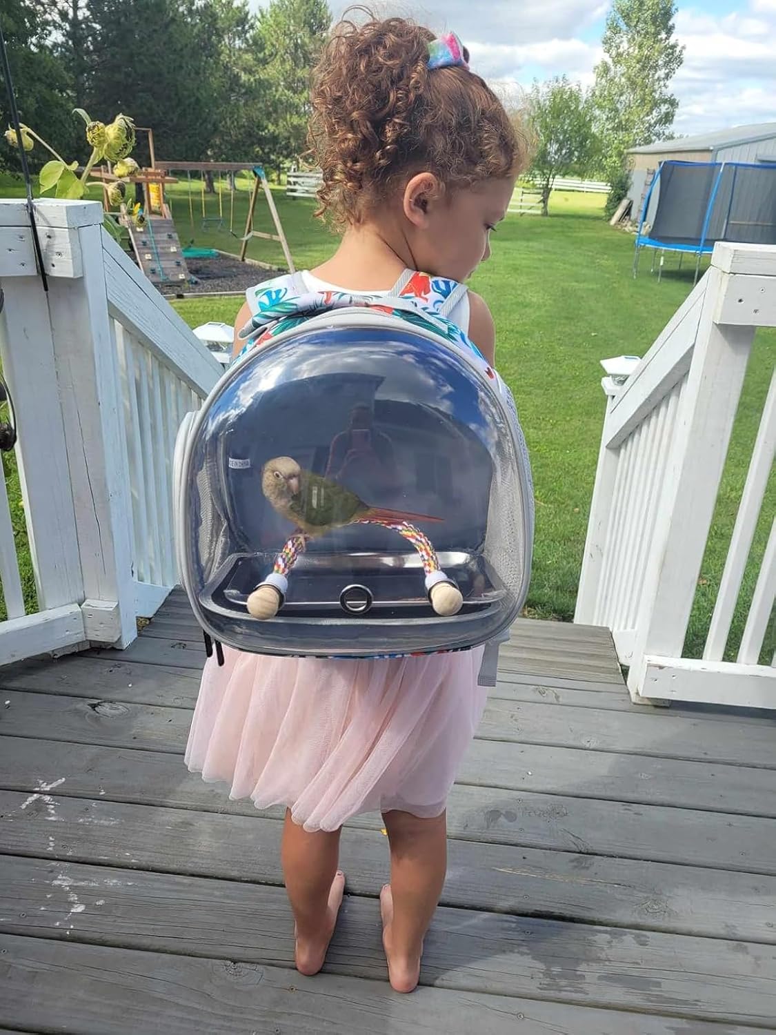 bird carrier backpack with rope perch, portable bird showing dimensions