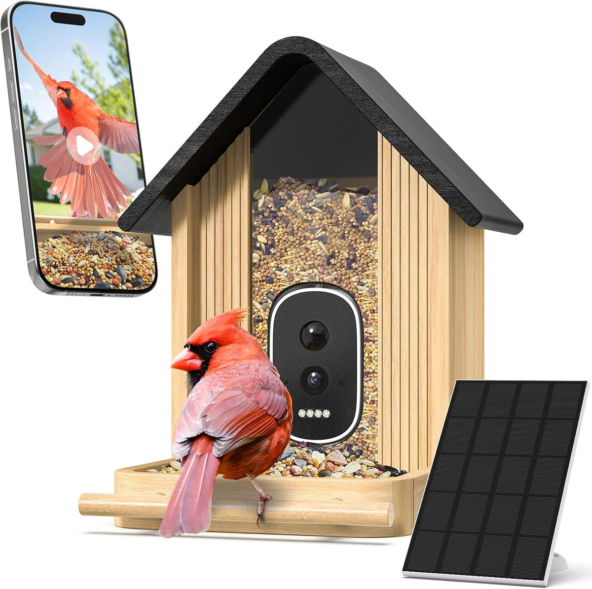 smart bird feeder camera with solar panel, bamboo, main product view
