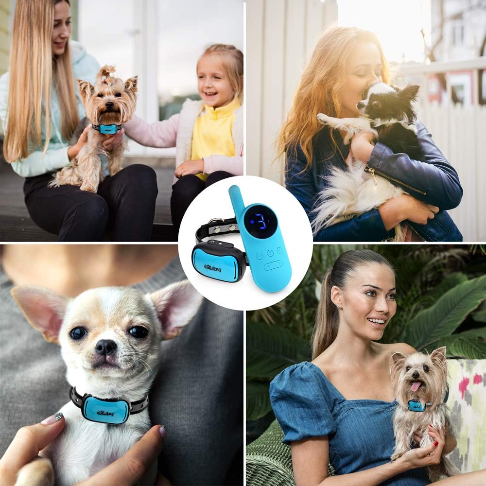 exuby - tiny shock collar for small dogs shown in use