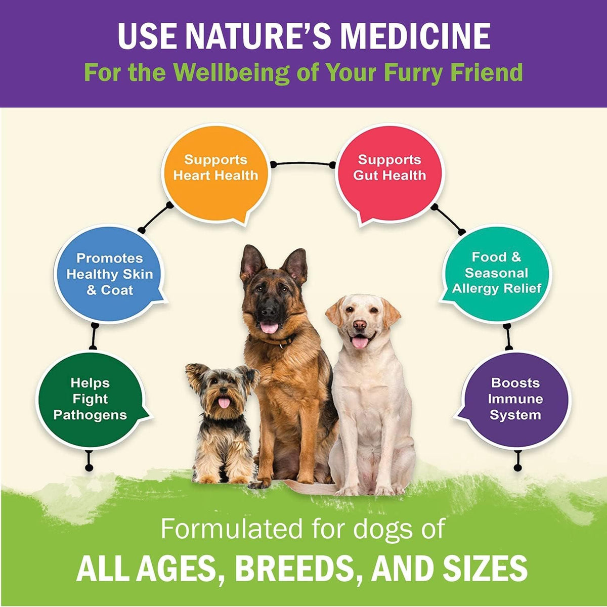 dog immune support premium powder topper, turkey tail showing dimensions