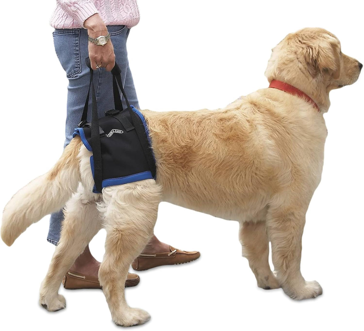 walkabout back end harness, dog and cat lifting, main product view