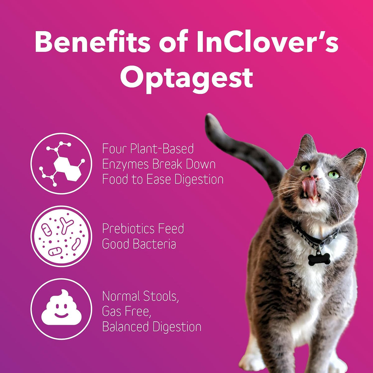 inclover optagest natural digestive aid, organic prebiotics &, close-up detail