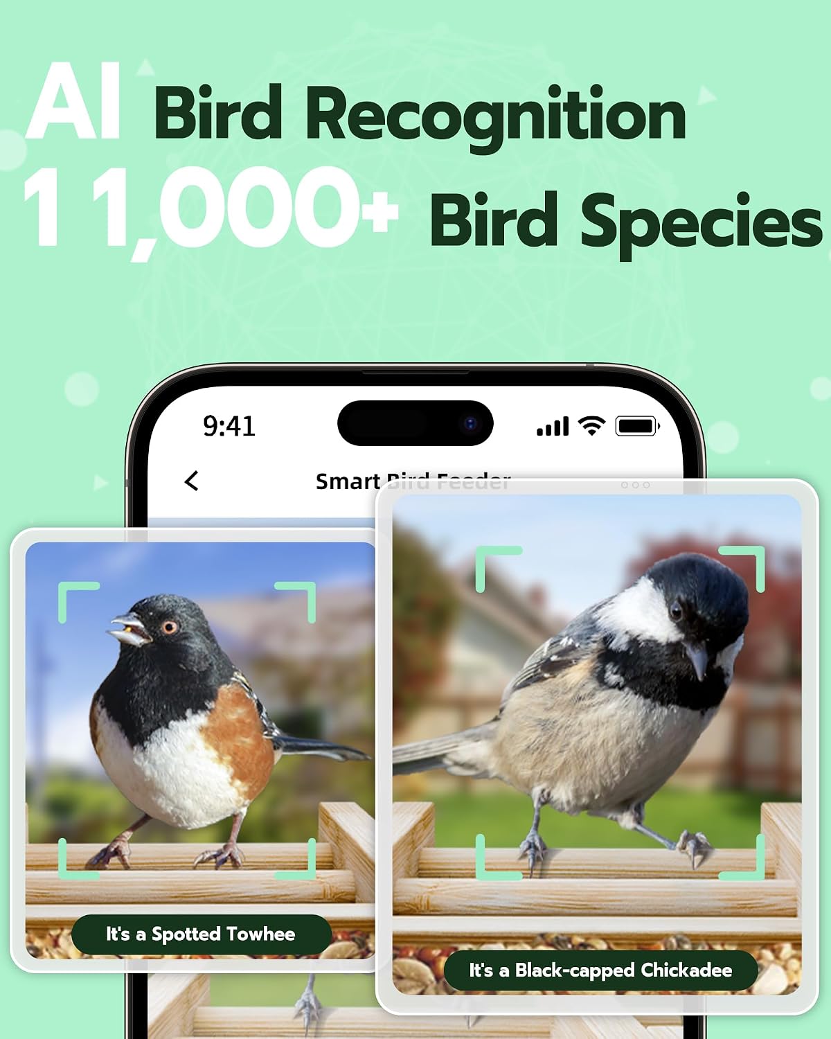visiogear bird feeder with camera, smart bird feeder, close-up detail