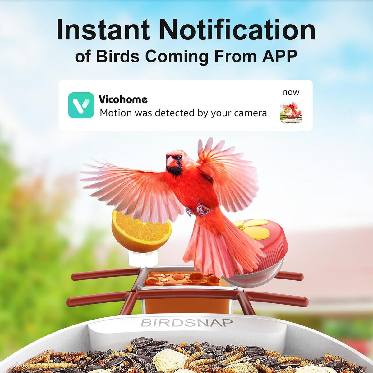 birdsnap® pav bird feeder with camera solar powered shown in use